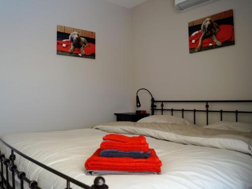 Beautiful Villa With Private Swimming Pool In Pignans