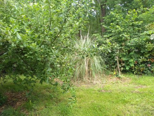 Bed & Breakfast Elevage Du Plec