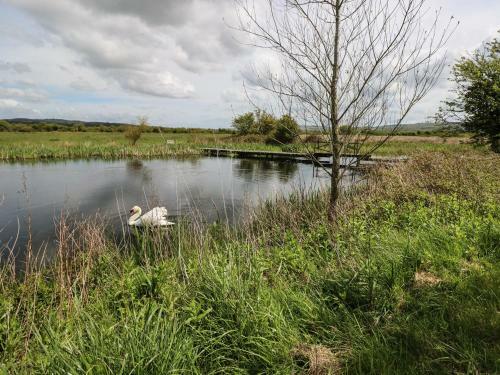 Lakelands, Burry Port