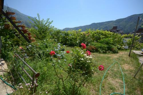 Apartments Dakovic