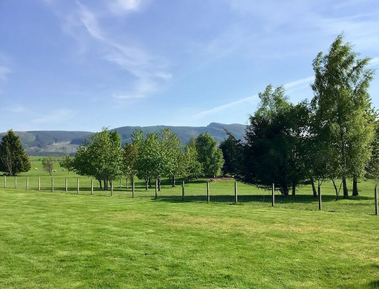 Bed & Breakfast Whitemoss Lodge