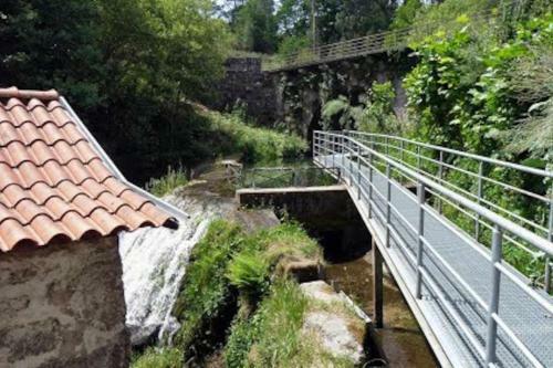 Casa Das Vinhas Cam�lias De Bastoturismo Rural