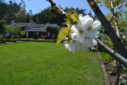 Hostal Quintal De Alem Do Ribeiro-turismo Rural