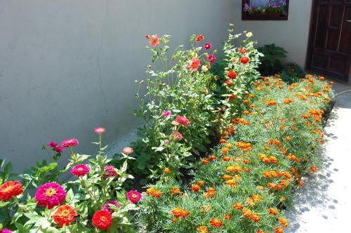Hostal Pension Sighisoara