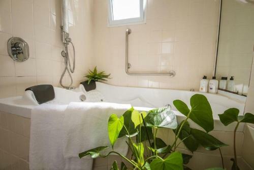 Agroturismo Nuriel Fruit & Guest House