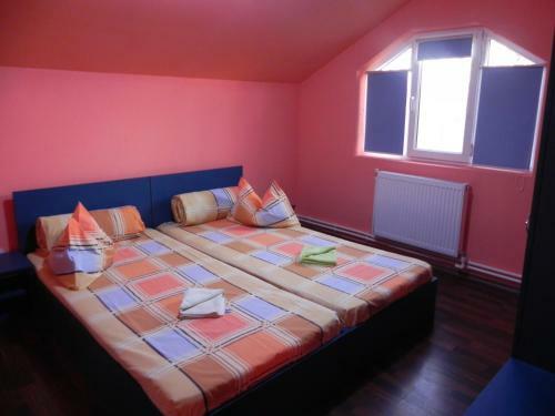 Bed & Breakfast Pension Puiu