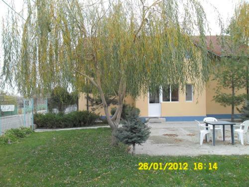 Bed & Breakfast Pension Puiu