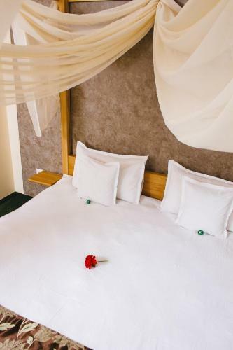 Bed & Breakfast Pensiune Restaurant Flamingo