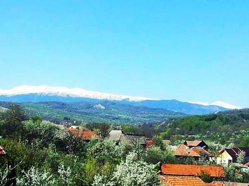 Hostal Pension Piscul Soarelui