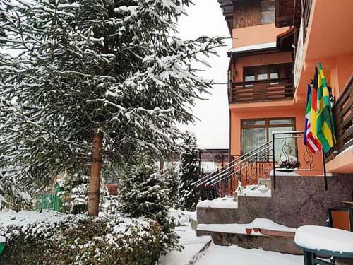 Hostal Pension Piscul Soarelui