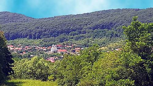 Hostal Pension Piscul Soarelui