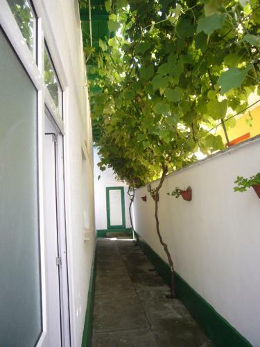 Hostal Casa Pinciuc Costinesti