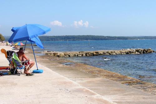 Apartments By The Sea Novigrad - 14296