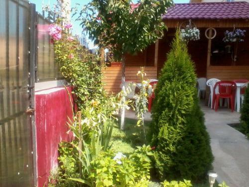 Hostal Vila Talisha