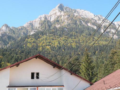 Apartamento Dream Holiday Busteni