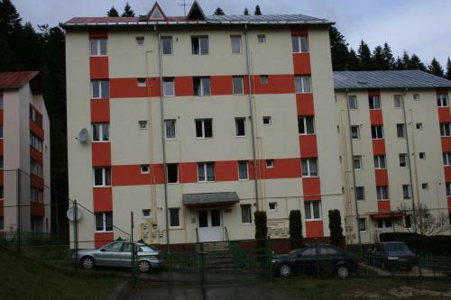 Apartamento Dream Holiday Busteni