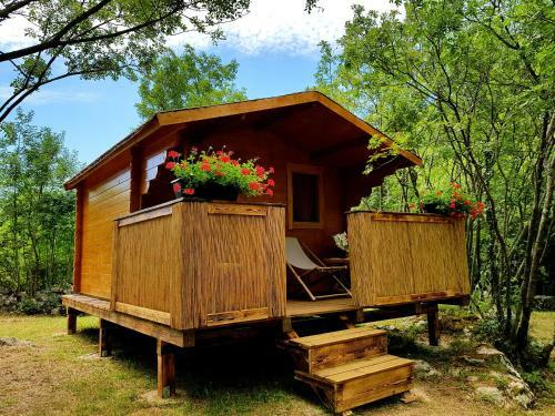 Robinson Accommodation Freedom