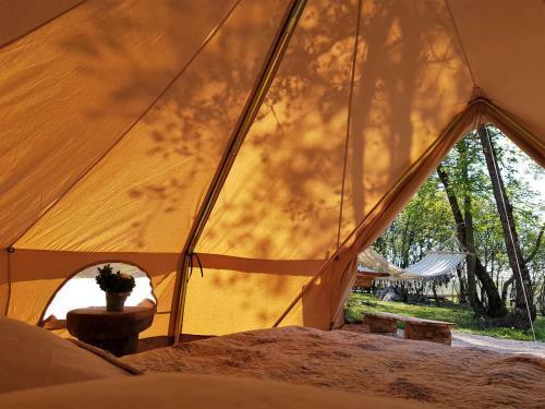 Robinson Accommodation Freedom