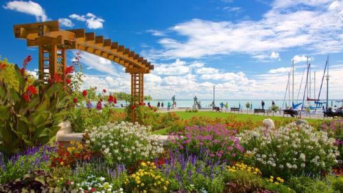 Apartments In Balatonf�red/balaton 27839