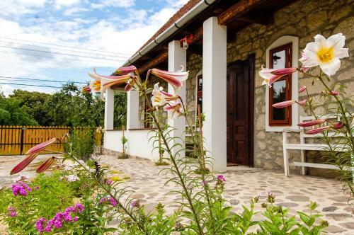Hostal Vitamin B63 Vend�gh�z