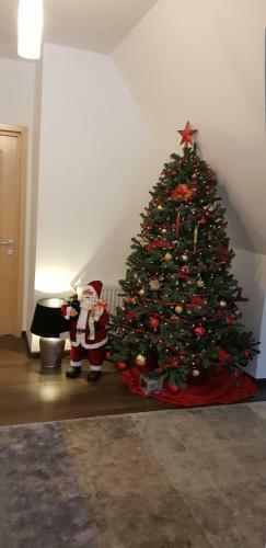 Apartament Kalinderu