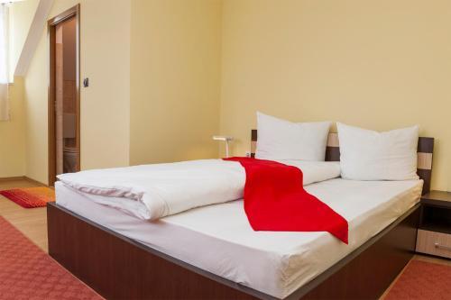 Hostal Pensiunea Radu