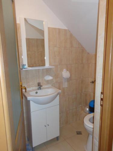 Hostal Pensiunea Radu