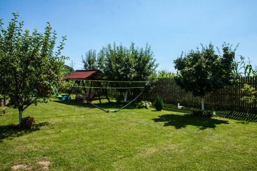 Hostal Rustic Argesean