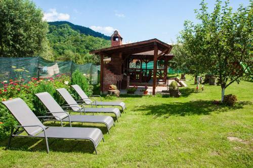 Hostal Rustic Argesean
