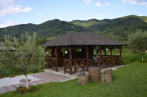 Hostal Rustic Argesean