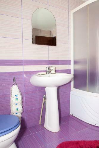 Hostal Rustic Argesean
