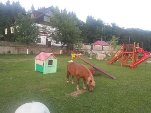 Hostal Pensiunea Trei Ponei