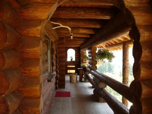 Cabana Vultur