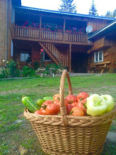 Pensiunea Agroturistica Casa Colini?a
