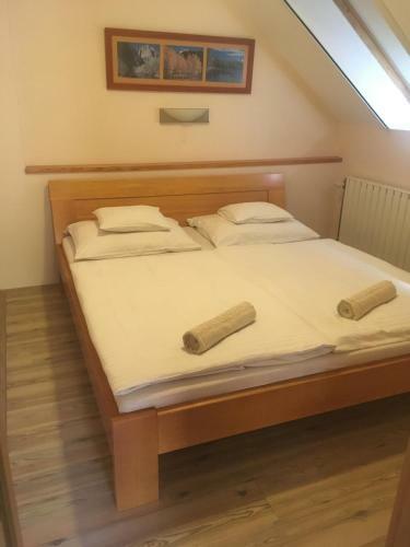 Anonim Vend�gh�z