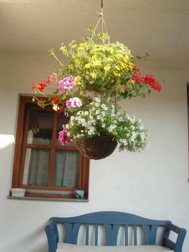 Hostal Rudolf's Fogad�