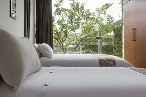 Hotel Tea Garden Resort