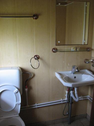 Elga�s Punk Rock Hostel