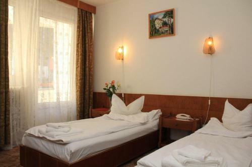 Hotel Hefaistos - Sovata