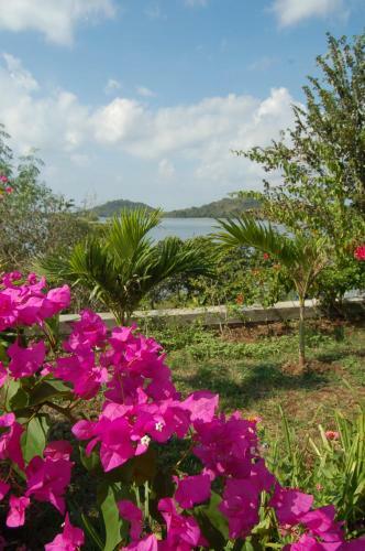Lombok Villas, Villa Paopao