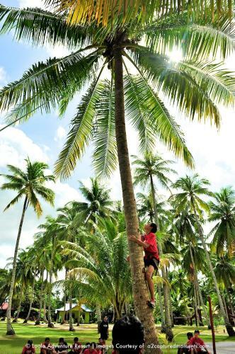 Hotel Loola Adventure Resort