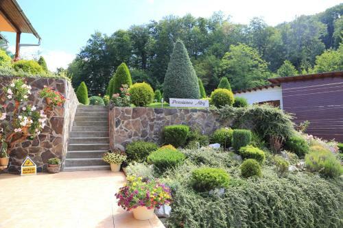 Hostal Pensiunea Abigel