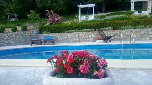 Hostal Casa Mircea