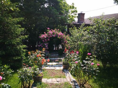 Hostal Alegria