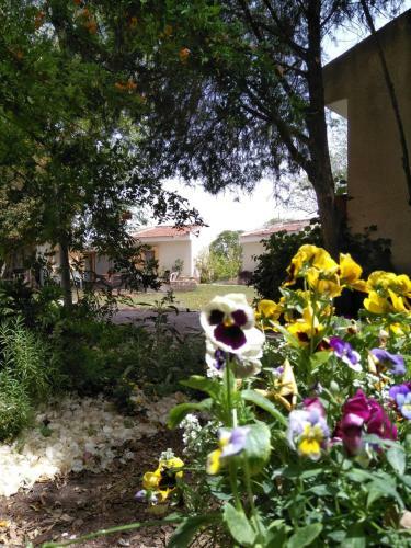 Jordan Valley Birding Lodge