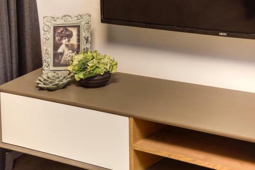 Apartamento Hahavatselet Suite - Isrentals