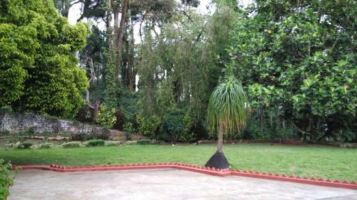 Coffee Tranquil Homestay