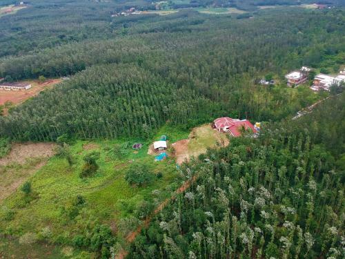 The Mayuravana Homestay