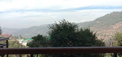Bed & Breakfast Wildleaf Kasauli -valley Homz