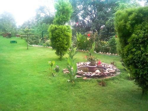 Bed & Breakfast Wildleaf Kasauli -valley Homz